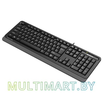 Клавиатура A4Tech Fstyler FKS10 (черный/серый) картинка 4